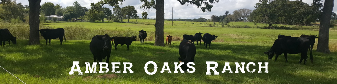 Copy-of-Amber-Oaks-Ranch-1.png