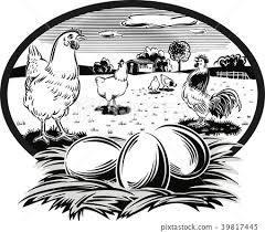 chicken-and-eggs2.jpg