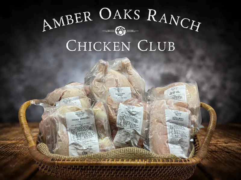 AOR-Chicken-Club-web.webp