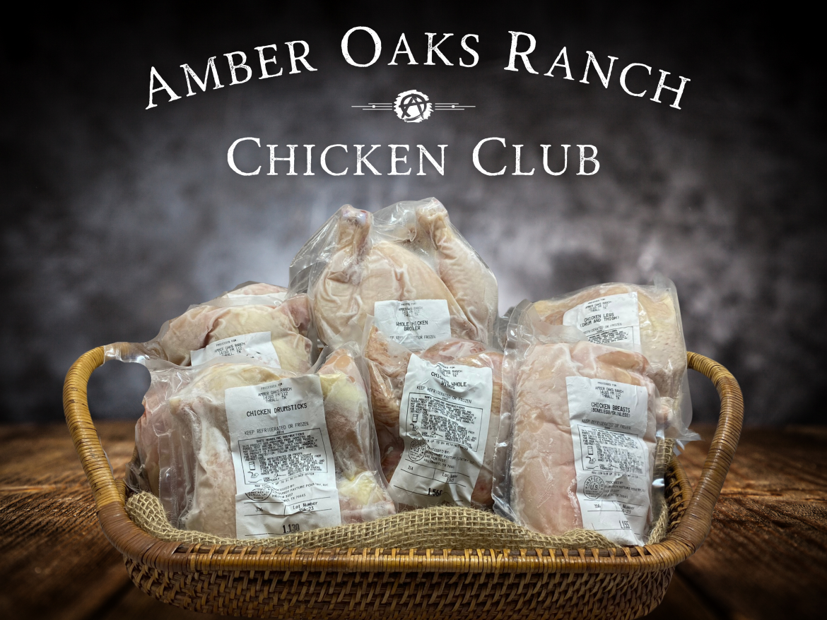 AOR-Chicken-Club.png