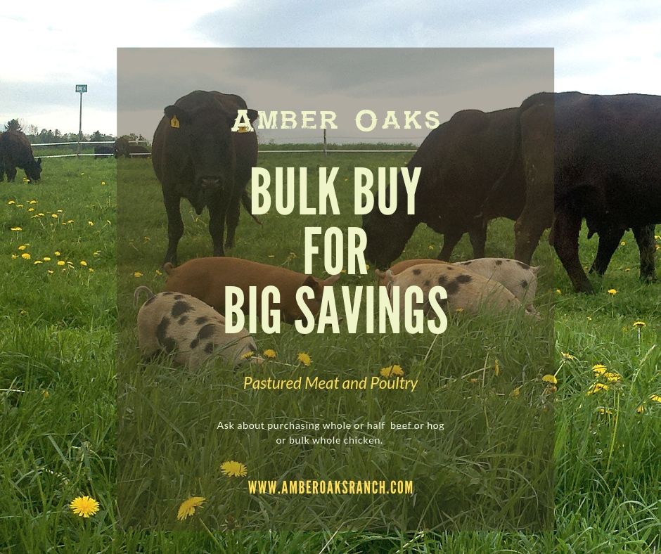 Copy-of-Copy-of-bulk-buy-for-big-savings.jpg