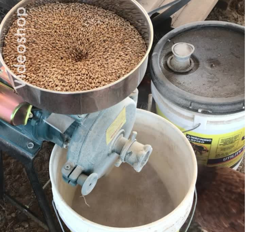 Grinding-Grain-still.png