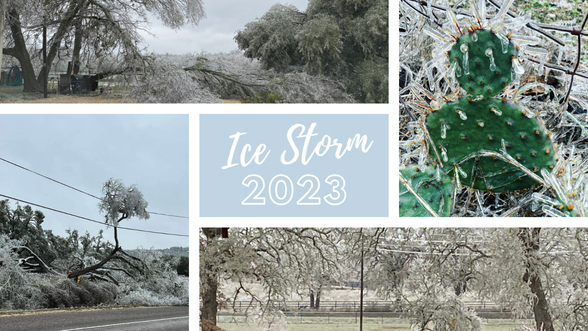 Ice-Storm.png