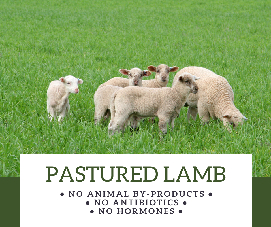 Pastured-lamb-product.png