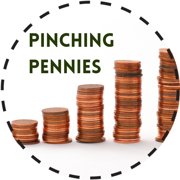 Pinching-Pennies.png