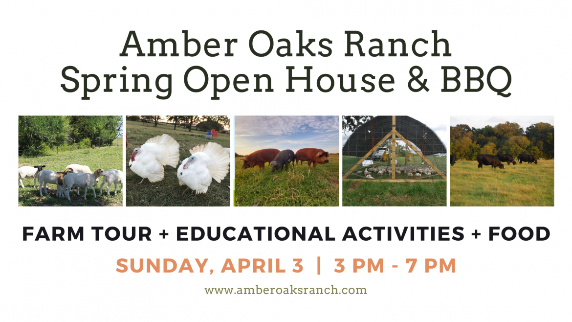 Spring-Open-House-cover-1-1.png