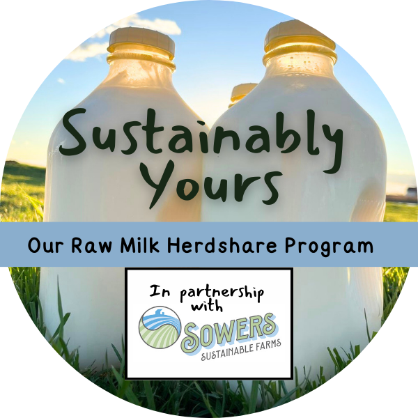 Sustainably-Yours-3.png