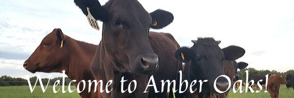 Welcome-banner.png