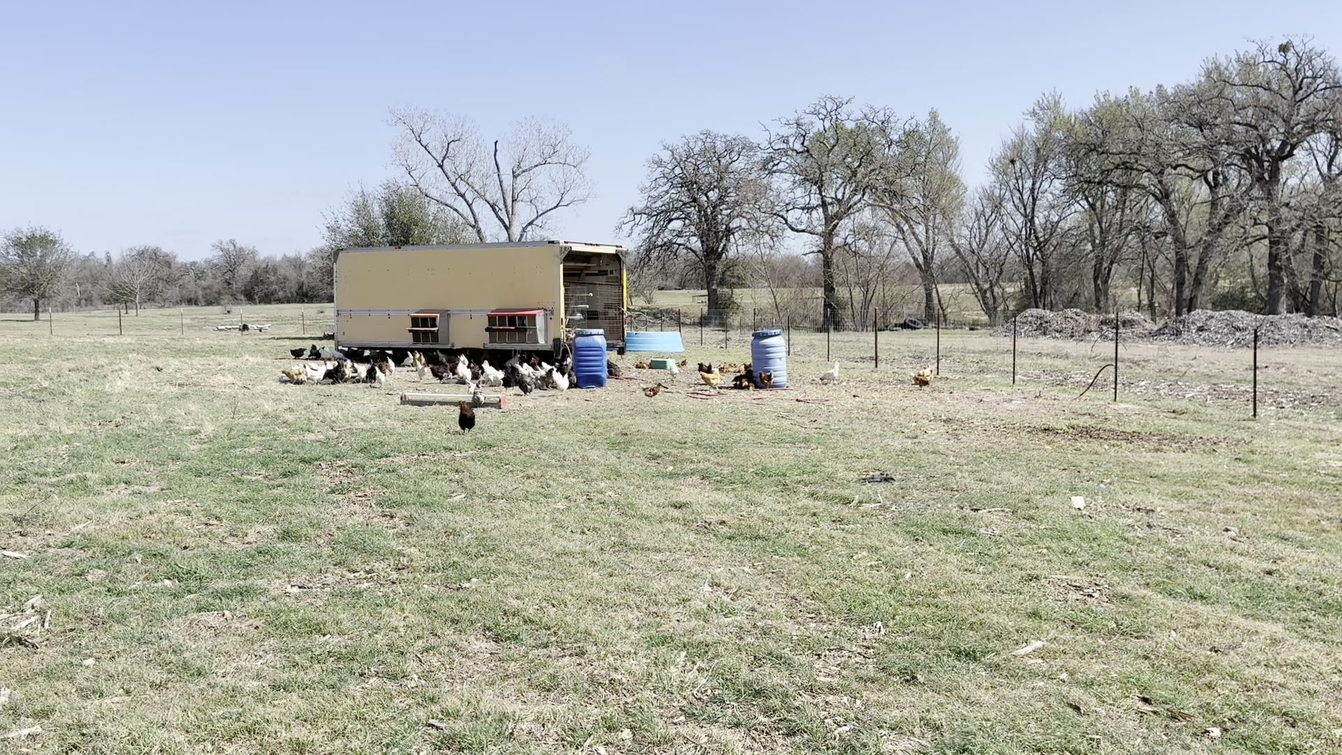 eggmobile_wide_pasture – Amber Oaks Ranch