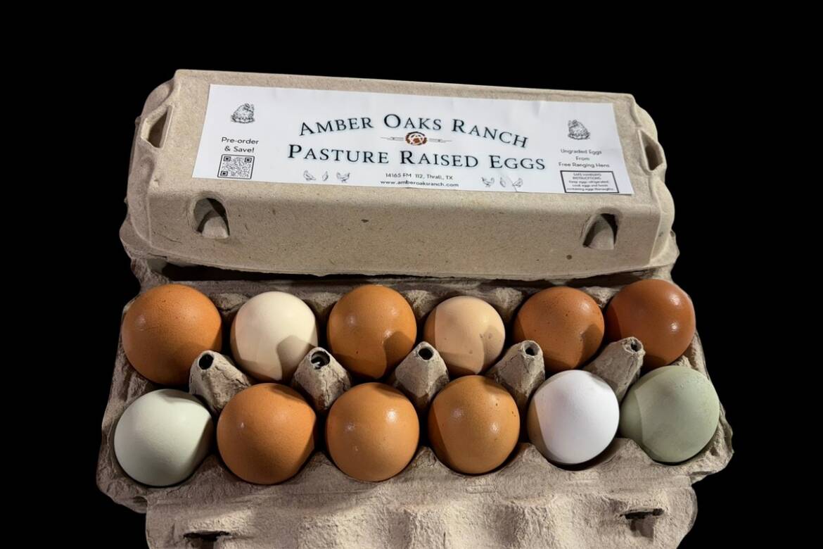 flodesk_07_mixed_egg_carton.jpg