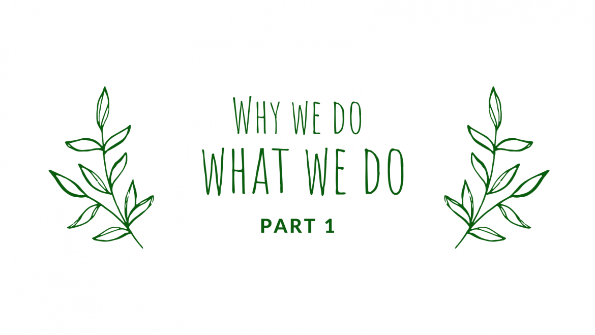 why-we-do-what-we-do-part-1.png